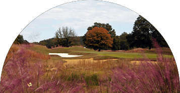 Mirimichi Golf Course in Memphis, Tennessee